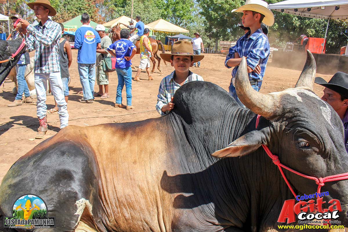 Festa da Pamonha (3 Dia)